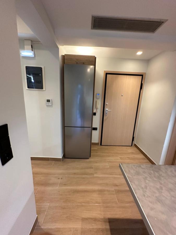 Vasilis Luxury Apartment Athen Eksteriør billede